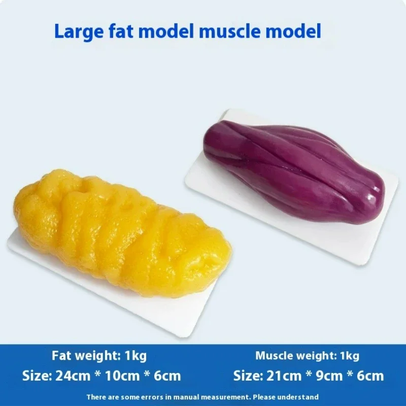 Human Muscle and Fat Replicas  - Nutrition For Health Fitness & Sport Melvin Williams recension och pris