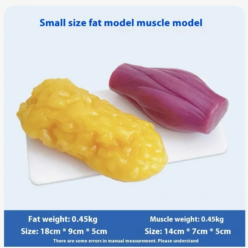 Human Muscle and Fat Replicas  - Nutrition For Health Fitness & Sport Melvin Williams recension och pris